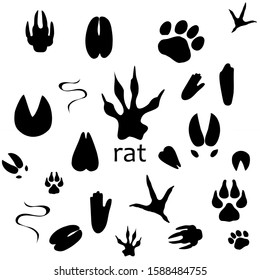 Black and white background from the tracks of the beasts of the Japanese calendar. 2020 year of the rat