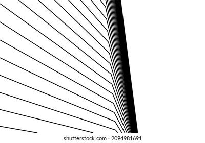 black and white background vector illustration