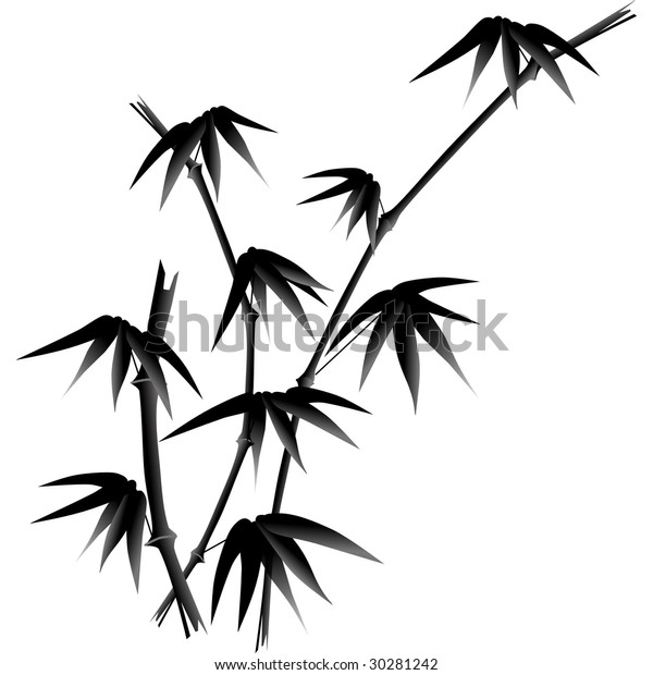 Black White Bamboo Illustration Stock Vector (Royalty Free) 30281242