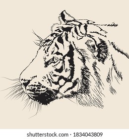 Black and white banner or poster with a graphic tiger head. Wild predatory animal. Hand-drawn vector illustration suitable for tattoo, logo, stencil, design element