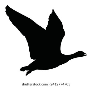 Black and White Barnacle silhouette. Vector Illustration.