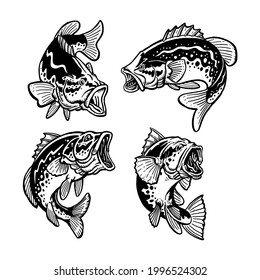 Black and white bass fish collection