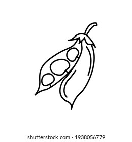 Black and white bean image, vector illustration, eps