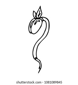 Black And White Bean Sprout Cartoon Object On White Background, Vector Doodle Art