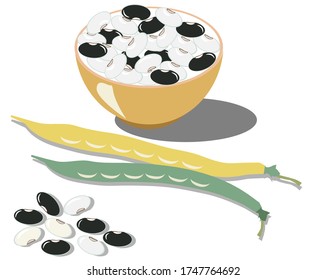 Black and white beans in a bowl on a white background. Vector illustration