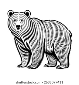 Black and white bear animal 