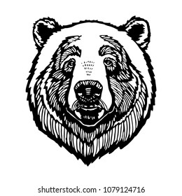 Black and white bear head portrait line art vector illustration isolated on white background