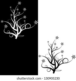 black and white beautiful flower background