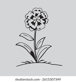 A black and white beautiful flower and plant image