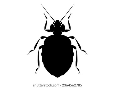 Black and White Bed Bug Clipart