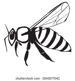 Black and white bee in flight