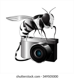 Black white bee on the camera. Vector illustration.