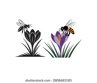 Black and white bee silhouette on crocus and color bee on purple crocus insect flower