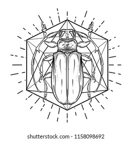 Black and white beetle over sacred geometry, isolated vector illustration. Tattoo sketch. Mystical symbols and insects. Alchemy, religion, occultism, spirituality, coloring book. Hand-drawn vintage.