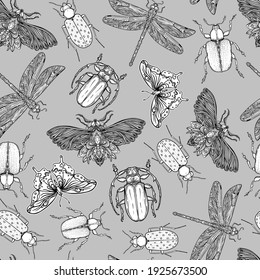 Black and white beetles, butterflies and dragonflies seamless pattern, isolated vector illustration. Mystical symbols and insects. Alchemy, religion, occultism, spirituality. Hand-drawn vintage.