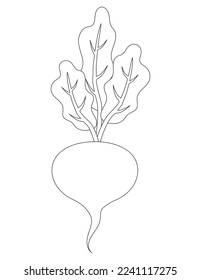 Schwarz-Weiß-Zuckerrübenmuster Contour-Bild von Zuckerrüben.