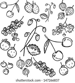 Black and white berries set. Hand drawn illustration. 