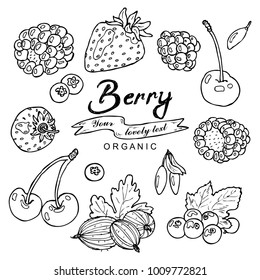 Black and white berry collection in vector