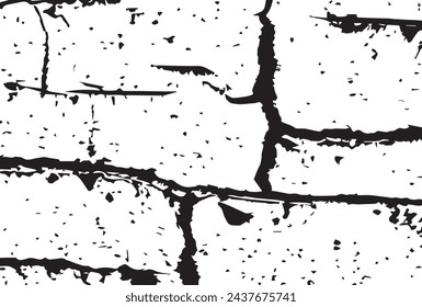 black and white birch bark grunge texture background.