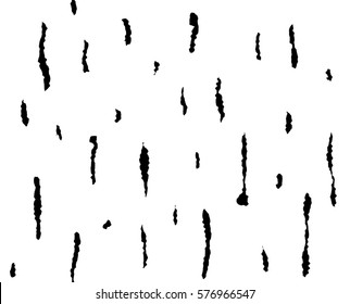 Black And White Birch Texture Seamless Pattern