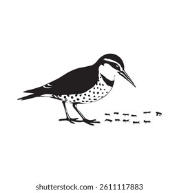 Black and White Bird with Ants Versatile Vector Design for Ornithology Ecology Projects
