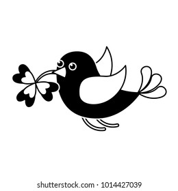 black and white bird flying with clover in beak