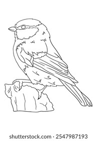 Black and white bird illustration perfect for coloring books, adult coloring pages, or creative art projects. Features intricate details and nature-inspired design