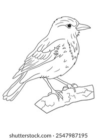 Black and white bird illustration perfect for coloring books, adult coloring pages, or creative art projects. Features intricate details and nature-inspired design