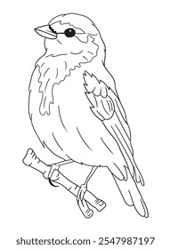 Black and white bird illustration perfect for coloring books, adult coloring pages, or creative art projects. Features intricate details and nature-inspired design