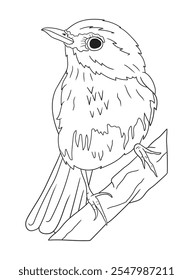 Black and white bird illustration perfect for coloring books, adult coloring pages, or creative art projects. Features intricate details and nature-inspired design