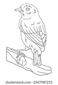 Black and white bird illustration perfect for coloring books, adult coloring pages, or creative art projects. Features intricate details and nature-inspired design