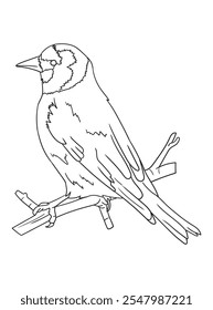 Black and white bird illustration perfect for coloring books, adult coloring pages, or creative art projects. Features intricate details and nature-inspired design