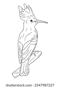 Black and white bird illustration perfect for coloring books, adult coloring pages, or creative art projects. Features intricate details and nature-inspired design