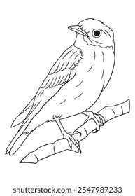 Black and white bird illustration perfect for coloring books, adult coloring pages, or creative art projects. Features intricate details and nature-inspired design