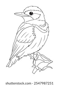 Black and white bird illustration perfect for coloring books, adult coloring pages, or creative art projects. Features intricate details and nature-inspired design