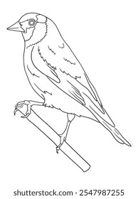 Black and white bird illustration perfect for coloring books, adult coloring pages, or creative art projects. Features intricate details and nature-inspired design