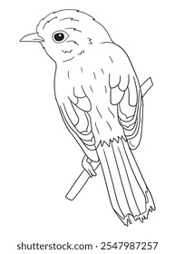 Black and white bird illustration perfect for coloring books, adult coloring pages, or creative art projects. Features intricate details and nature-inspired design