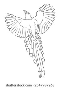 Black and white bird illustration perfect for coloring books, adult coloring pages, or creative art projects. Features intricate details and nature-inspired design