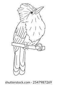 Black and white bird illustration perfect for coloring books, adult coloring pages, or creative art projects. Features intricate details and nature-inspired design