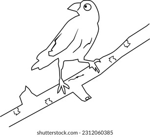 Black and white bird on branch. Bird staring. Simple line art. vector illustration.