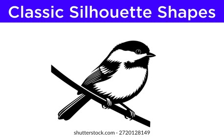 Black and white bird on branch isolated on white background