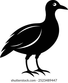 Black and white bird silhouette vector design