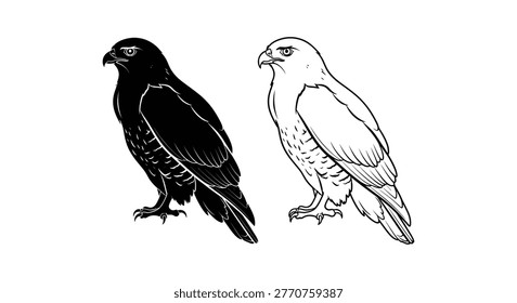 Black and White Bird Sketches: Eagle vs Hawk Illustrations Vector