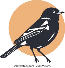 Black and white bird vector. Beautyful Bird drawing illustration.