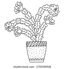 Black and white blooming Schlumberger in a pot. Isolated brazilian cactus. Doodle for the botanical coloring book. Vector.