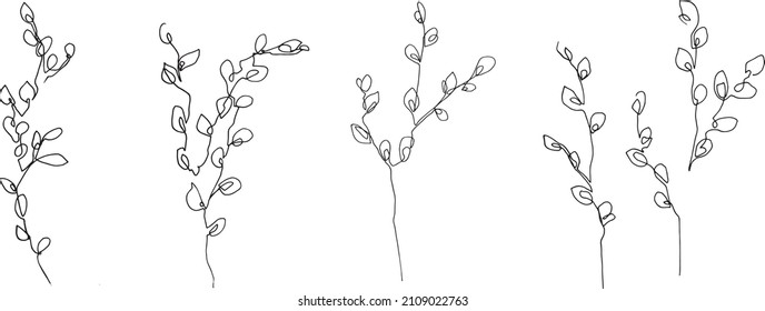 black and white blooming willow set. pussy willow drawing. spring plant. continuous one line spring blooming tree.