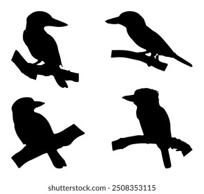 Black and White Blue-winged Kookaburra Silhouette. Vector Illustration.