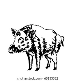 black and white boar vector illustration