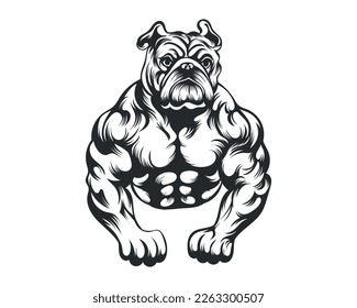 Black and White body builder Bulldog vector illustration, body builder dog vector