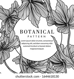 Fondo botánico blanco y negro